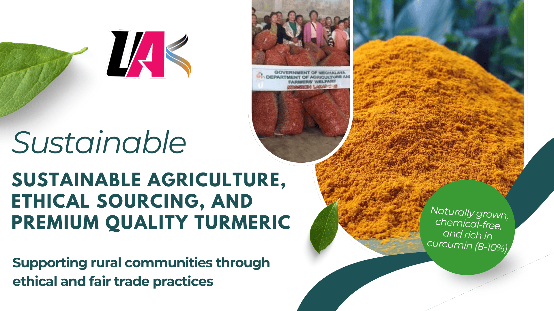 Turmeric - Curcumin 8-10%