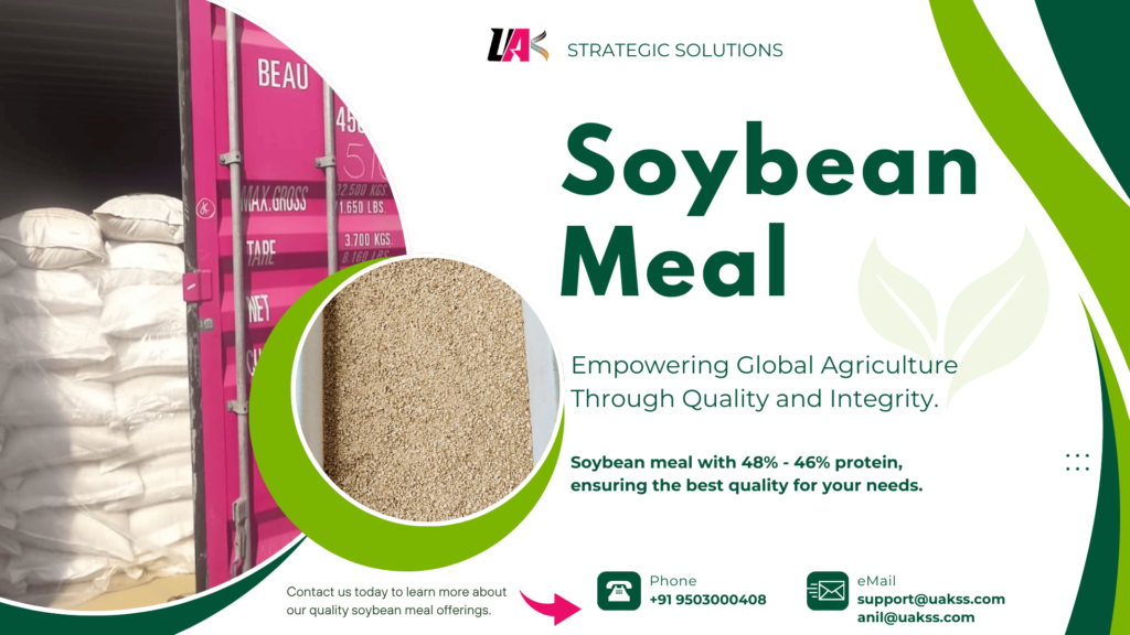 Bulk soybean meal export shipping – Reliable logistics & supply chain management