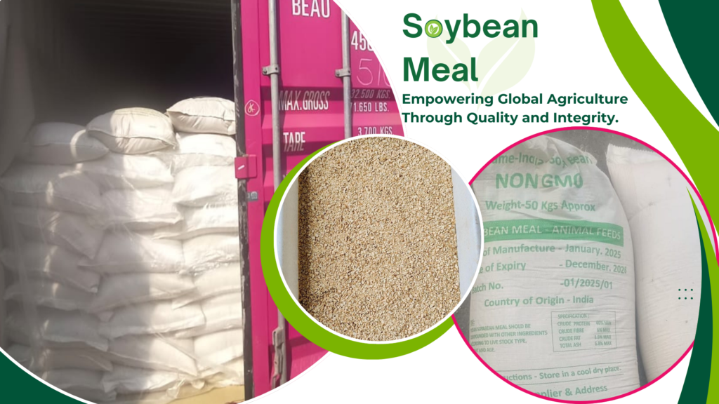 Soybean Meal Exports